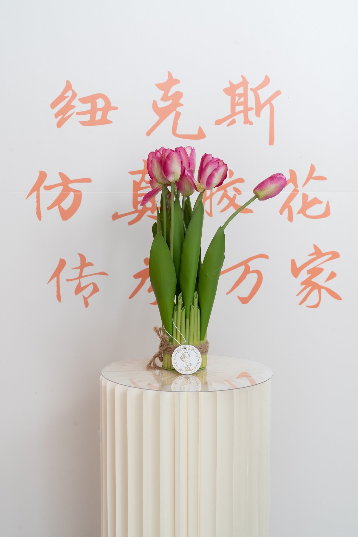 10头天山郁金香盆栽